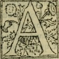 An illustration from Premier livre d'Amadis de Gaule; (1560)