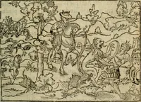 Picture 5 of 57 from Premier livre d'Amadis de Gaule; (1560), leaf 20