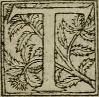 An illustration from Premier livre d'Amadis de Gaule; (1560)