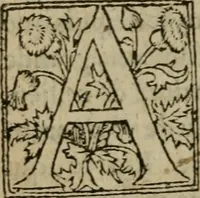 An illustration from Premier livre d'Amadis de Gaule; (1560)