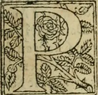 Picture 25 of 57 from Premier livre d'Amadis de Gaule; (1560), leaf 246