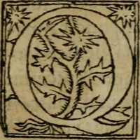 An illustration from Premier livre d'Amadis de Gaule; (1560)
