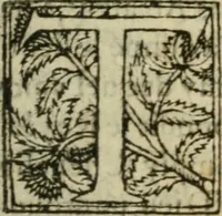 An illustration from Premier livre d'Amadis de Gaule; (1560)