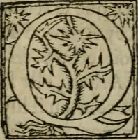 An illustration from Premier livre d'Amadis de Gaule; (1560)