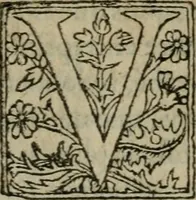 An illustration from Premier livre d'Amadis de Gaule; (1560)