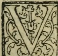 An illustration from Premier livre d'Amadis de Gaule; (1560)