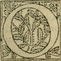 An illustration from Premier livre d'Amadis de Gaule; (1560)