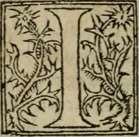 An illustration from Premier livre d'Amadis de Gaule; (1560)