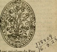 An illustration from Premier livre d'Amadis de Gaule; (1560)
