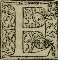 An illustration from Premier livre d'Amadis de Gaule; (1560)