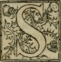 An illustration from Premier livre d'Amadis de Gaule; (1560)