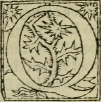 An illustration from Premier livre d'Amadis de Gaule; (1560)