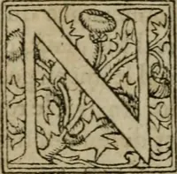 An illustration from Premier livre d'Amadis de Gaule; (1560)