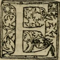 An illustration from Premier livre d'Amadis de Gaule; (1560)