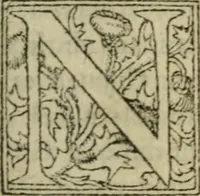 Picture 50 of 57 from Premier livre d'Amadis de Gaule; (1560), leaf 476