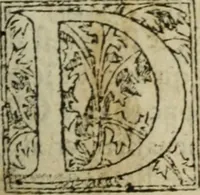 An illustration from Premier livre d'Amadis de Gaule; (1560)