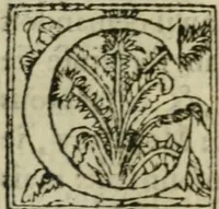 An illustration from Premier livre d'Amadis de Gaule; (1560)