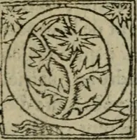 Picture 54 of 57 from Premier livre d'Amadis de Gaule; (1560), leaf 505