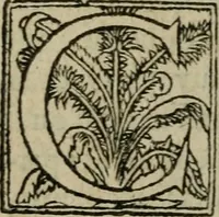 An illustration from Premier livre d'Amadis de Gaule; (1560)