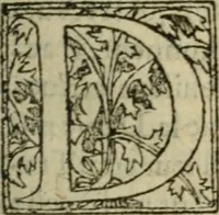 An illustration from Premier livre d'Amadis de Gaule; (1560)