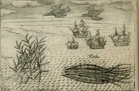An illustration from Premier livre de l'histoire de la navigation aux Indes Orientales, par les hollandois, et des choses a eux advenues : ensemble les conditions, les meurs, & manieres de vivres des nations, par eux abordees : plus les monnoyes, espices, drogues, & marchandises, & le pris d'icelles : davantage les decouvremens & apparences, situations, & costes maritimes des contrees : avec le vray pourtrait au vif des habitans : le tout par plusieurs figures illustré : tres-recreatif a lire a tous navigans & amateurs des navigations lointaines, ez terres estrangeres (1609)