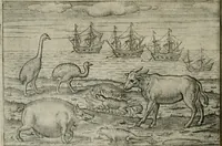 An illustration from Premier livre de l'histoire de la navigation aux Indes Orientales, par les hollandois, et des choses a eux advenues : ensemble les conditions, les meurs, & manieres de vivres des nations, par eux abordees : plus les monnoyes, espices, drogues, & marchandises, & le pris d'icelles : davantage les decouvremens & apparences, situations, & costes maritimes des contrees : avec le vray pourtrait au vif des habitans : le tout par plusieurs figures illustré : tres-recreatif a lire a tous navigans & amateurs des navigations lointaines, ez terres estrangeres (1609)