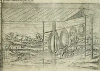 An illustration from Premier livre de l'histoire de la navigation aux Indes Orientales, par les hollandois, et des choses a eux advenues : ensemble les conditions, les meurs, & manieres de vivres des nations, par eux abordees : plus les monnoyes, espices, drogues, & marchandises, & le pris d'icelles : davantage les decouvremens & apparences, situations, & costes maritimes des contrees : avec le vray pourtrait au vif des habitans : le tout par plusieurs figures illustré : tres-recreatif a lire a tous navigans & amateurs des navigations lointaines, ez terres estrangeres (1609)
