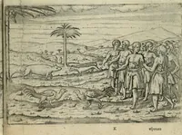 An illustration from Premier livre de l'histoire de la navigation aux Indes Orientales, par les hollandois, et des choses a eux advenues : ensemble les conditions, les meurs, & manieres de vivres des nations, par eux abordees : plus les monnoyes, espices, drogues, & marchandises, & le pris d'icelles : davantage les decouvremens & apparences, situations, & costes maritimes des contrees : avec le vray pourtrait au vif des habitans : le tout par plusieurs figures illustré : tres-recreatif a lire a tous navigans & amateurs des navigations lointaines, ez terres estrangeres (1609)