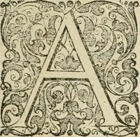 An illustration from Premier livre de l'histoire de la navigation aux Indes Orientales, par les hollandois, et des choses a eux advenues : ensemble les conditions, les meurs, & manieres de vivres des nations, par eux abordees : plus les monnoyes, espices, drogues, & marchandises, & le pris d'icelles : davantage les decouvremens & apparences, situations, & costes maritimes des contrees : avec le vray pourtrait au vif des habitans : le tout par plusieurs figures illustré : tres-recreatif a lire a tous navigans & amateurs des navigations lointaines, ez terres estrangeres (1609)