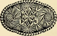 An illustration from Premium catalog. (1914)