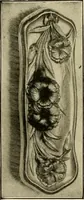 An illustration from Premium catalog. (1914)