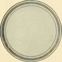 An illustration from Premium catalog. (1914)