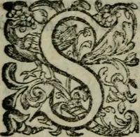 An illustration from Prencipi Christiani (1601)