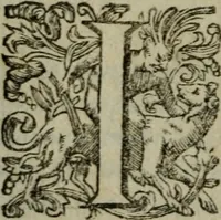 An illustration from Prencipi Christiani (1601)