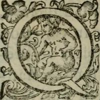 An illustration from Prencipi Christiani (1601)