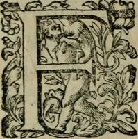 An illustration from Prencipi Christiani (1601)