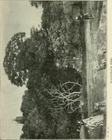 An illustration from Pre-Raphaelitism and the pre-Raphaelite brotherhood (1905)