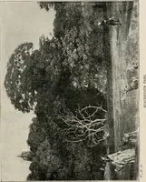 An illustration from Pre-Raphaelitism and the pre-Raphaelite brotherhood (1905)