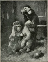 An illustration from Pre-Raphaelitism and the pre-Raphaelite brotherhood (1905)