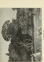 An illustration from Pre-Raphaelitism and the Pre-Raphaelite Brotherhood (1905)