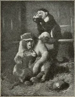 An illustration from Pre-Raphaelitism and the Pre-Raphaelite Brotherhood (1905)