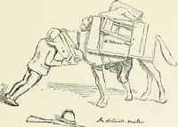 An illustration from Pre-Raphaelitism and the pre-Raphaelite brotherhood (1905)