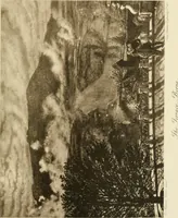 An illustration from Pre-Raphaelitism and the pre-Raphaelite brotherhood (1905)