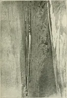 An illustration from Pre-Raphaelitism and the pre-Raphaelite brotherhood (1905)