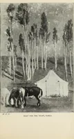 Picture 16 of 96 from Pre-Raphaelitism and the Pre-Raphaelite Brotherhood (1905), leaf 102