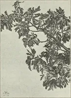 An illustration from Pre-Raphaelitism and the Pre-Raphaelite Brotherhood (1905)