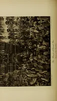 An illustration from Pre-Raphaelitism and the Pre-Raphaelite Brotherhood (1905)