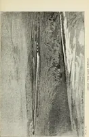 An illustration from Pre-Raphaelitism and the Pre-Raphaelite Brotherhood (1905)