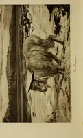 An illustration from Pre-Raphaelitism and the Pre-Raphaelite Brotherhood (1905)