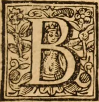 An illustration from The reasons presented by the Dissenting brethren : against certain propositions concerning presbyteriall government. And the proofs of them voted by the Assembly of divines, sitting by authority of Parliament, at Westminster. Together with the answer of the Assembly of divines to those reasons of dissent (1648)